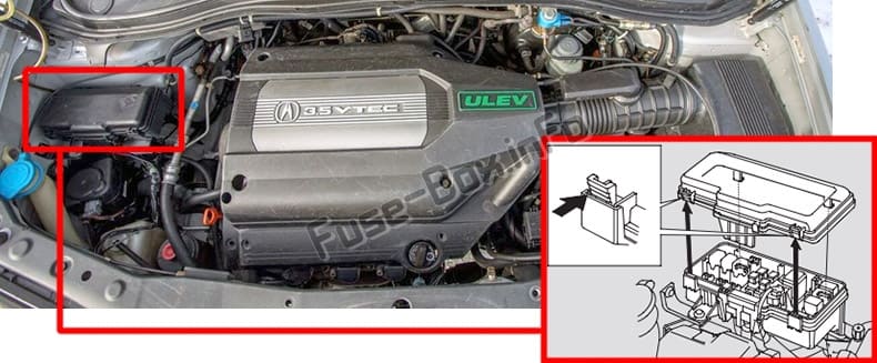 The location of the fuses in the engine compartment: Acura MDX (YD1; 2001-2006)