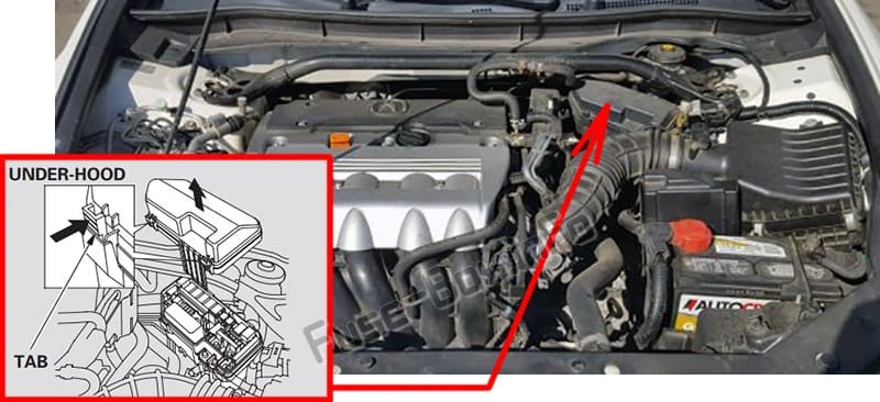 The location of the fuses in the engine compartment: Acura TSX (CU2; 2009-2014)