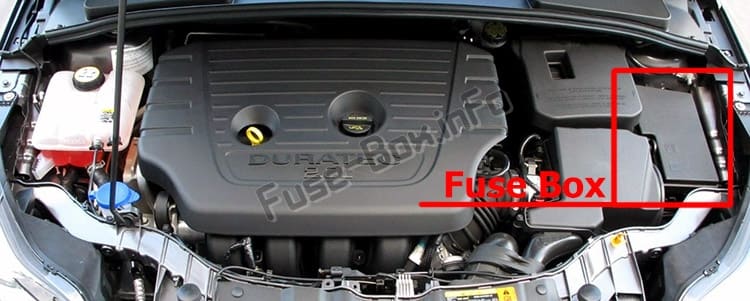 The location of the fuses in the engine compartment: Ford Focus (2015-2018)