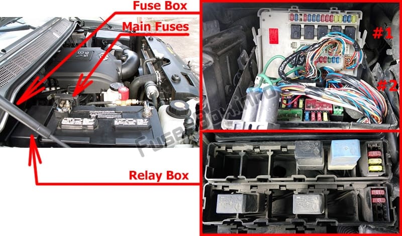 The location of the fuses in the engine compartment: Infiniti QX56 (2004-2010)